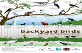 OF THE TOOWOOMBA REGION - Welcome to Birds in Backyards