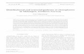 Distributional and seasonal patterns of ctenophores in ...