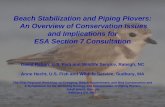 Beach Nourishment and Piping Plovers: Overview of