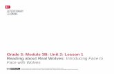 Grade 3: Module 3B: Unit 2: Lesson 1 Reading about Real ...