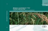 FAO FERTILIZER AND PLANT NUTRITION BULLETIN 16