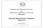 National Programme - MDM