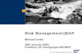 Risk Management@SAP - gi