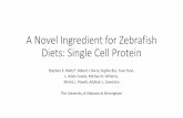 A Novel Ingredient for Zebrafish Diets: Single Cell Protein
