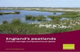 England’s peatlands