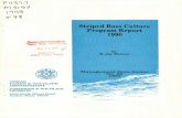 Striped Bass Culture Program Report 1990
