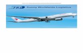 prefessional air freight forwarder from Shenzhen to George ...