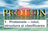 1. Proteinele – rolul, structura și