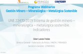 Programa Webinarios Gestión Minero –Mineralúrgica ...