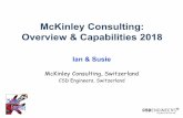 McKinley Consulting: Overview & Capabilites 2017