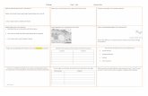 IB Biology Topic 1 - Cells Revision Sheet