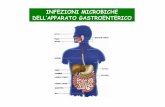 INFEZIONI MICROBICHE DELL’APPARATO GASTROENTERICO