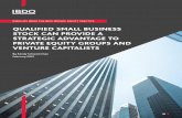 QUALIFIED SMALL BUSINESS STOCK CAN PROVIDE A …