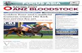 FOCUS ASIA - ANZ Bloodstock News