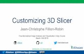 Customizing 3D Slicer - Kitware