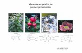 Química orgánica de grupos funcionales