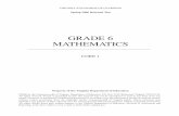 GRADE 6 MATHEMATICS - SolPass
