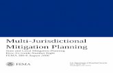 Multi-Jurisdictional Mitigation Planning