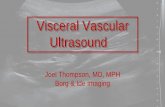 Visceral Vascular Ultrasound - RIT Scholar Works