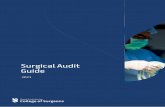 Surgical Audit Guide - Surgeons