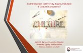 An Introduction to Diversity, Equity, Inclusion & Cultural ...