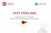 GUT FEELING - Agency for Clinical Innovation