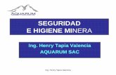 SEGURIDAD E HIGIENE MINERA - MineroArtesanal