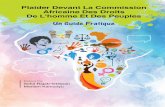 Plaider Devant La Commission Africaine Des Droits De L ...