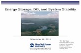 Energy Storage, DG, and System Stability