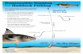 Responsible Rigging for Haddock Fishing