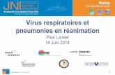 Virus respiratoires et pneumonies en réanimation