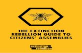 The Extinction Rebellion Guide to Citizens Assemblies ...