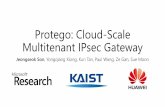 Protego: Cloud-Scale Multitenant IPsec Gateway
