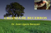 CRIANZA DE BECERROS - redgatro.fmvz.unam.mx