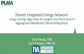 Shared Integrated Energy Network - Peak Load