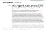 DNA damage in lens epithelial cells exposed to ...