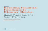 Boosting Financial Resilience to Disaster Shocks