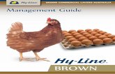BROWN COMMERCIAL LAYERS–AUSTRALIA Management …
