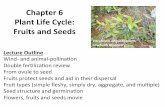 Chapter6( PlantLifeCycle: Fruits(and(Seeds(