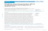 Metabolic and neuroprotective effects of dapagliflozin and