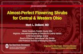 Almost-Perfect Flowering Shrubs for Central & Western Ohio