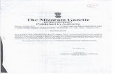Syllabus for Community Health Officer and Health ... - Mizoram