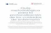 Guía metodológica para la protocolización de los cuidados ...