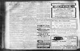 Gainesville Daily Sun. (Gainesville, Florida) 1905-05-12 ...