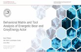Behavioral Matrix and Tool Analysis of Energetic Bear and