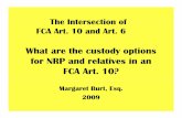 What are the custody optionsWhat are the custody options ...