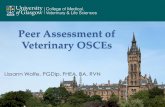 Peer Assessment of Veterinary OSCEs