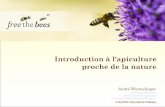 Introduction à l'apiculture proche de la nature