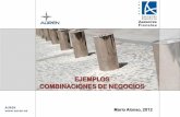 EJEMPLOS COMBINACIONES DE NEGOCIOS - Mario Alonso