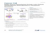 KDM5 Histone Demethylase Activity Links Cellular ...